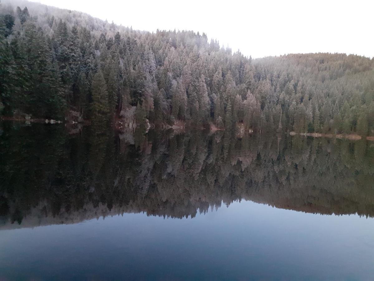 Munster Camping De La Fecht Екстер'єр фото